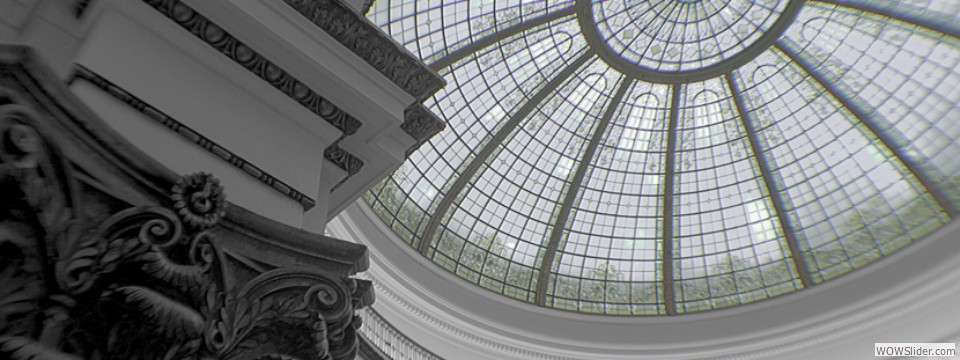 CiF can help you with your EB-5 Visa application process. Please contact our team for more information. CiF can help you with your EB-5 Visa application process. Please contact our team for more information.