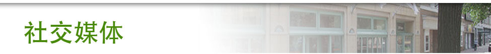 社交媒体